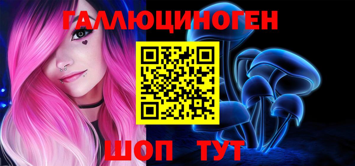 Дивногорск  купить наркотик  Галлюциногенные грибы прущие грибы  Вход с VPN  Галлюциногенные грибы GOLDEN TEACHER 