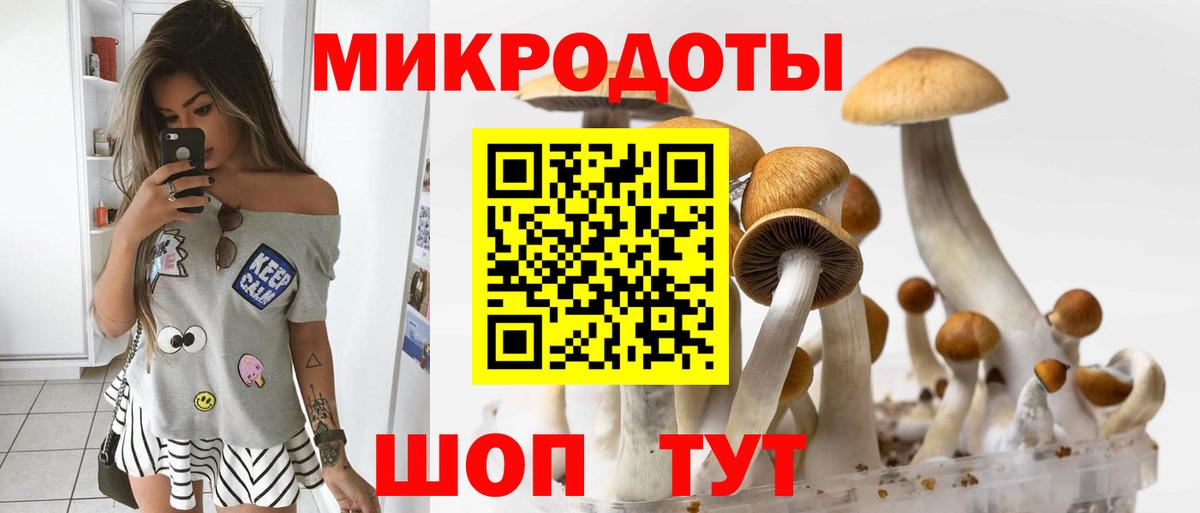 Псилоцибиновые грибы Magic Shrooms Дивногорск